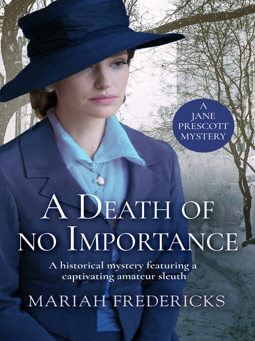 Cover image for A Death of No Importance